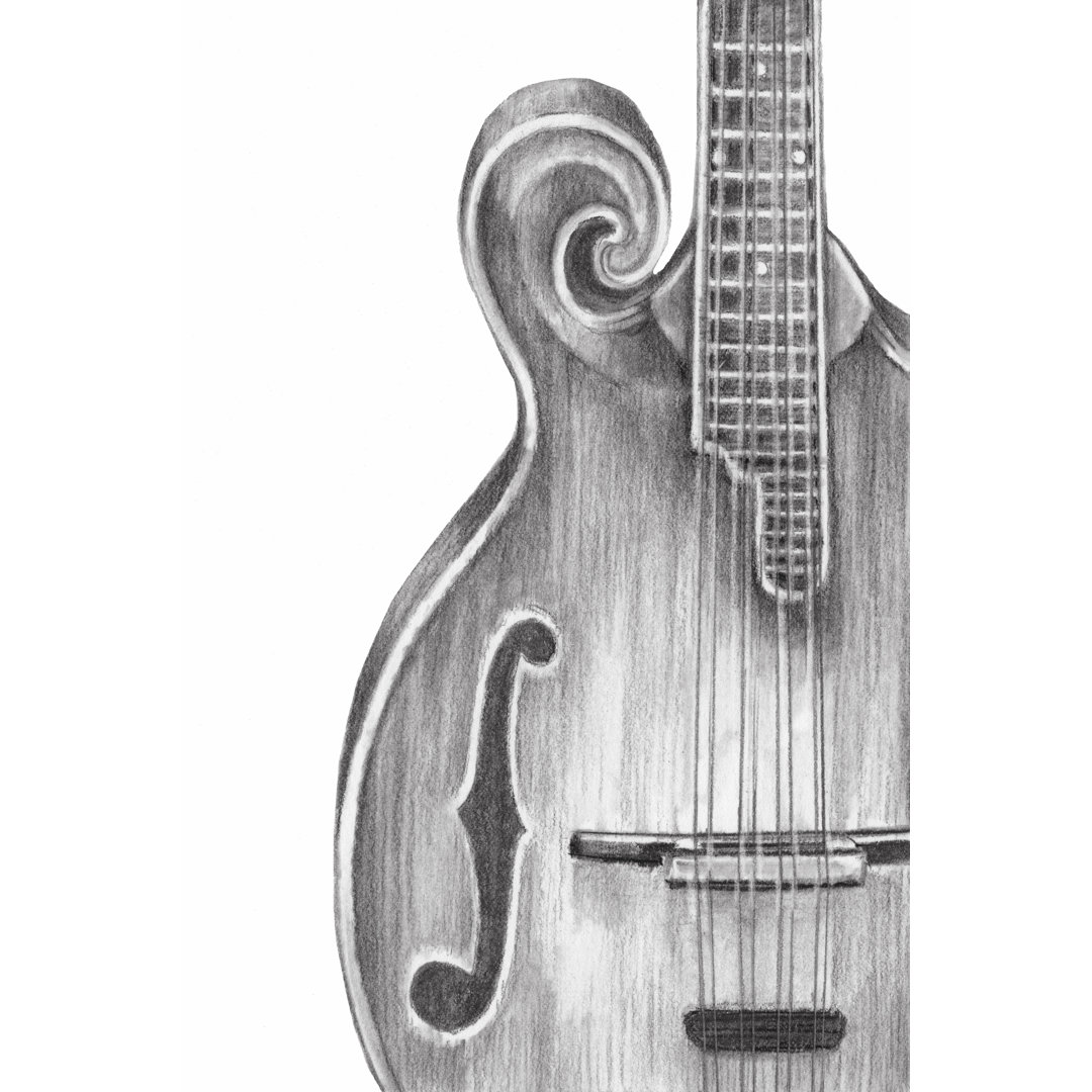 Leinwandbild Stringed Instrument Study II