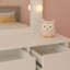 Jaunell Dressing Table with Mirror
