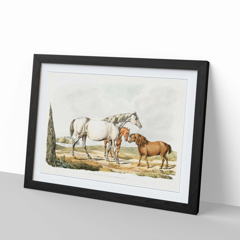 Two Horses & a Pony by Henry Alken - Picture Frame Painting Print, 36cm H x 48cm W x 2cm D, Black Framed