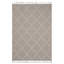 5X7 Area Rug Trellis Indoor-Outdoor