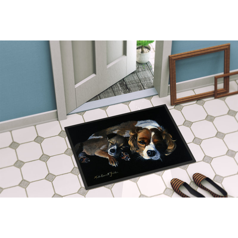 Non-Slip Outdoor Doormat, 2' x 3'
