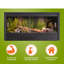 Terrarium Deneishia-101483204-52916581