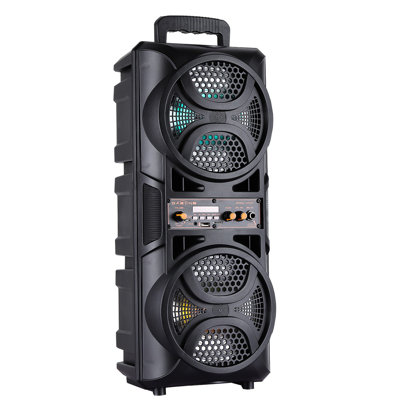 3000W Portable Wireless Bluetooth Speaker Dual 6.5 Inch Woofer Wired Microphone Remote FM Radio Lights