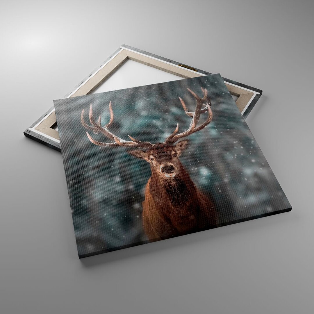 Fotodruck Deer Deer Winter