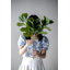Collection Home Decor