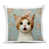 Blue/Pink Cat