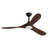 Ceiling Fan with LED Lights