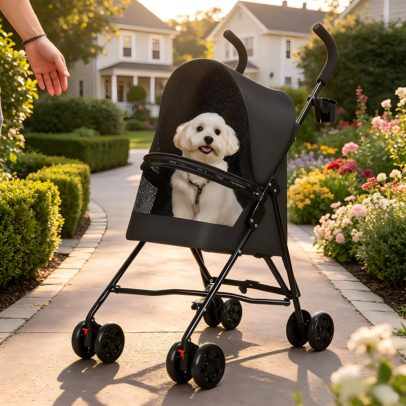Poussette pliable et légère pour petits chats et chiens