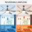 Broughtonville 60.8cm Ceiling Fan with Light Kit