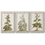 «Munting Botanicals IV», ensemble de 3 toiles encadrées-97708880-97708878