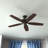 Newsome 52" 5 - Blade Traditional Indoor Ceiling Fan with Pull Chain-56420983