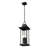 Hannha 4 Light Outdoor Chain Mount Ceiling Fixture