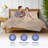 100% Organic Viscose From Bamboo Sheets Set, 300 Thread Count, 4-pc Set, Luxury Cooling Sheets, Deep Pockets - Gift-Ready Packaging, California King Size (Coffee)-111656344-111656338