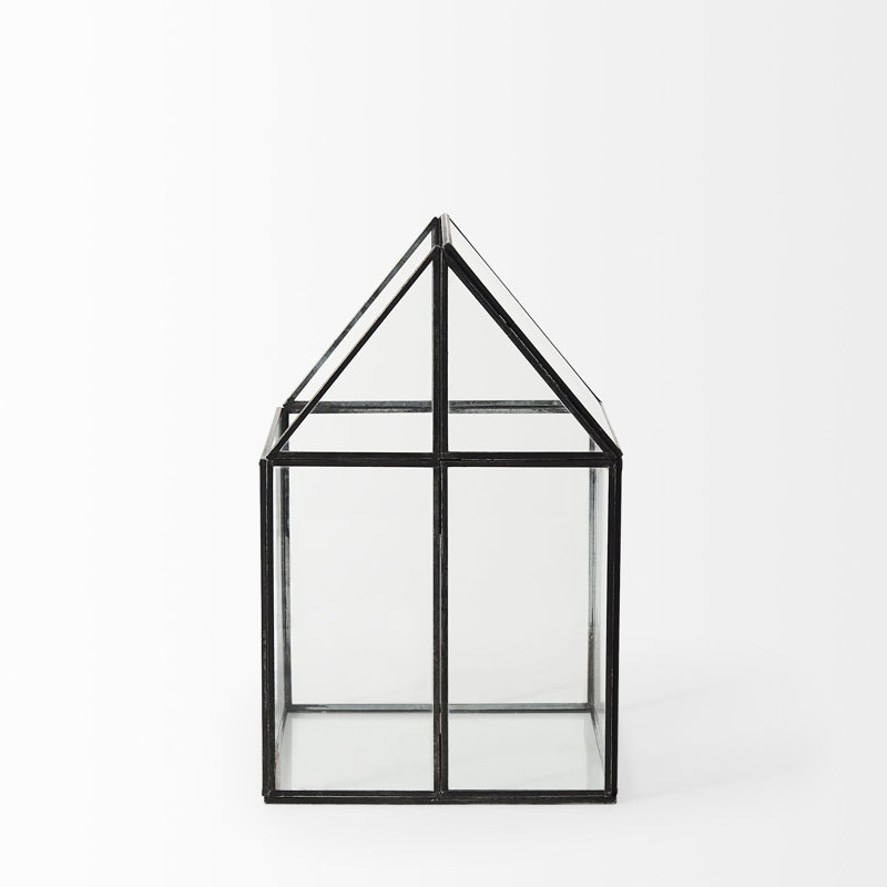 Amarina Clear And Black Glass and Metal Terrarium Box, 13" H x 8" W x 8" D