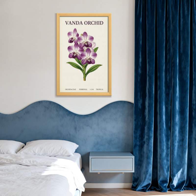 Plantes et fleurs, orchidée Vanda, fleurs mauves, feuilles, imprimé botanique, H 24 po x l 36 po, Toile tendue