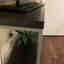 Customer photo 2 of 3