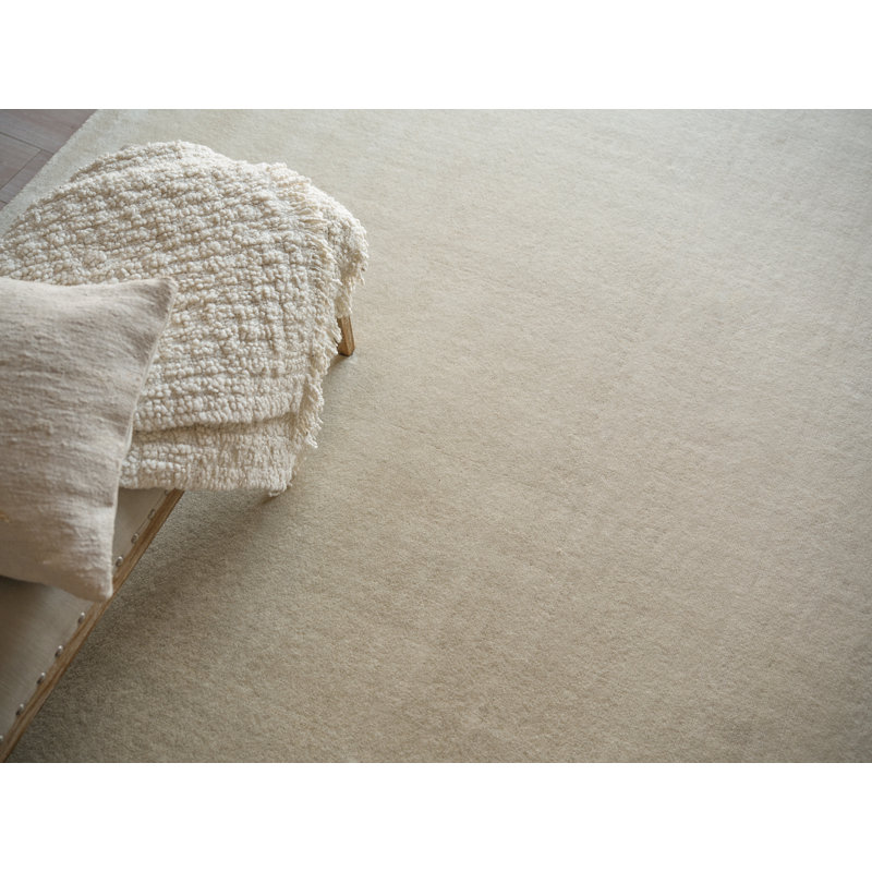 Velutto Hand Loomed Nylon Area Rug in Light Beige, Rectangle 2' x 3'