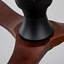 Ceiling Fan-1618894205