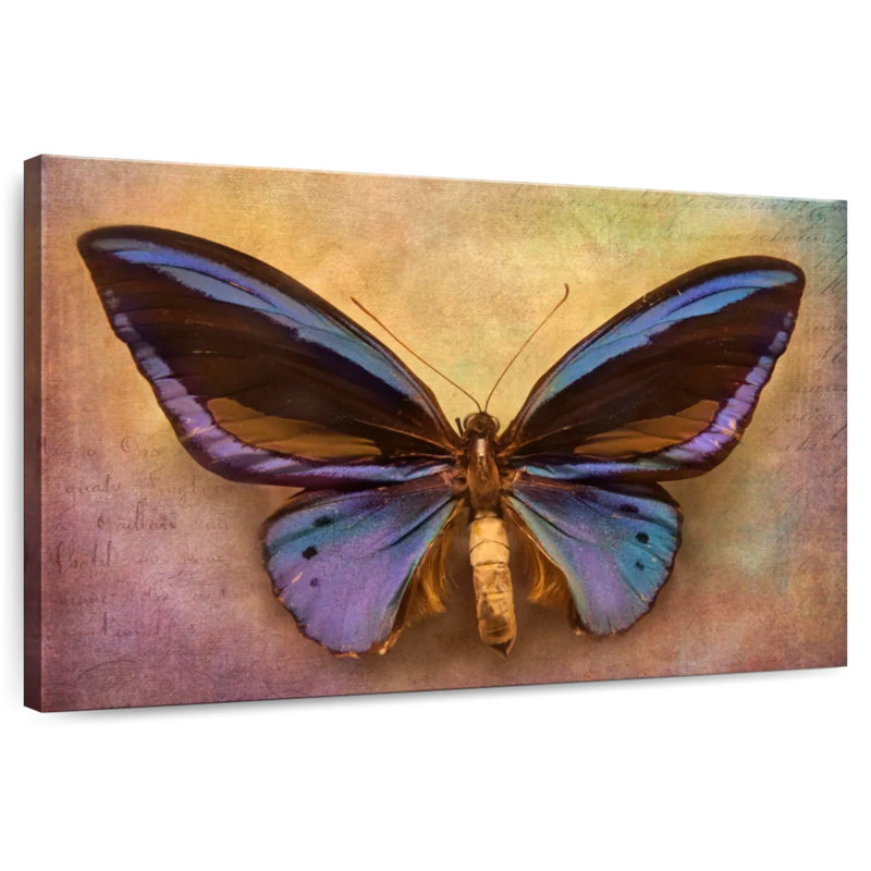 Original Butterfly, 32" H x 48" W