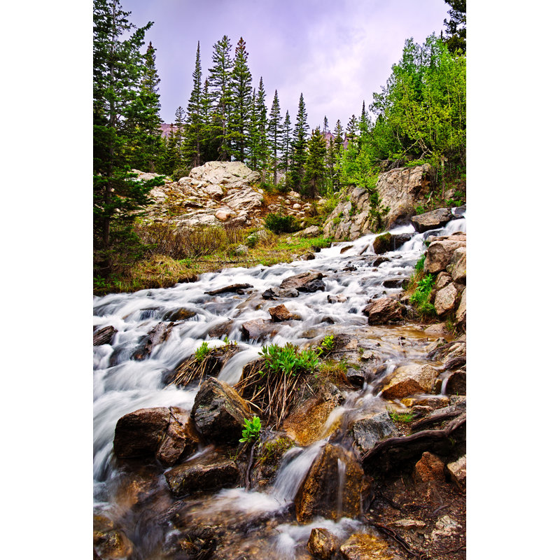 Rocky Mountain by Adam-Springer - Wrapped Canvas Print, 91cm H x 61cm W
