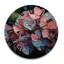 Horloge murale Kymorah-1839291998