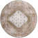 Millyr Washable Oriental Rug