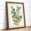 Single Stem in Green Botanical - Framed Print-154756638-154756639