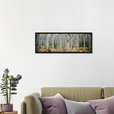 Aspen Trees in a Forest Alberta '- reproduction de photo panoramique