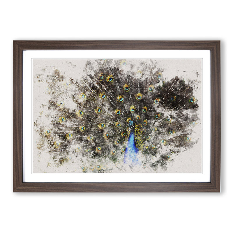Peacock Vol.1 - Picture Frame Graphic Art, Walnut Framed, 36cm H x 48cm W x 2cm D