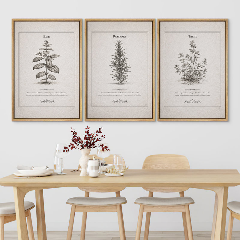 "Herb Botanical Artwork" of Basil, romarin, thym, art mural encadré sur toile, impression de 3 pièces, H 36 po x l 24 po