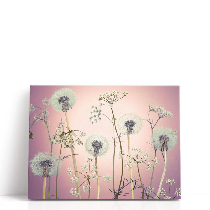 «Meadow Flowers 4», reproduction d'art sur toile, H 18 po x l 24 po