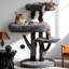 Arbre à chat unique en bois massif pour grands chats et MianeCoon-374704896