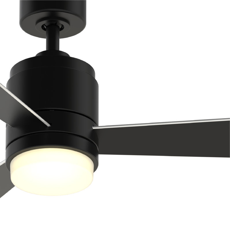 48'' Ceiling Fan with LED Lights, Black/Silver