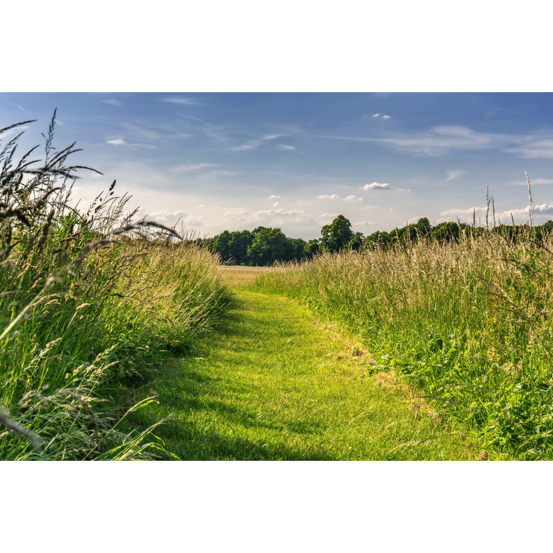 Walking Path In The Heathland von _ultraforma_ - Kunstdrucke ohne Rahmen auf Leinwand