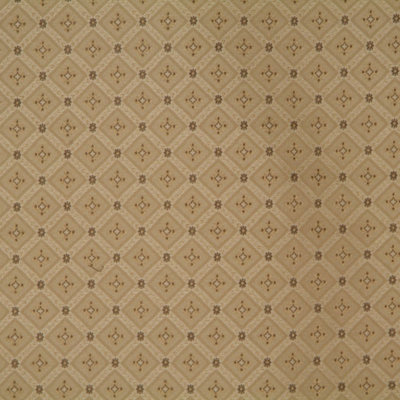 Allure Fabric