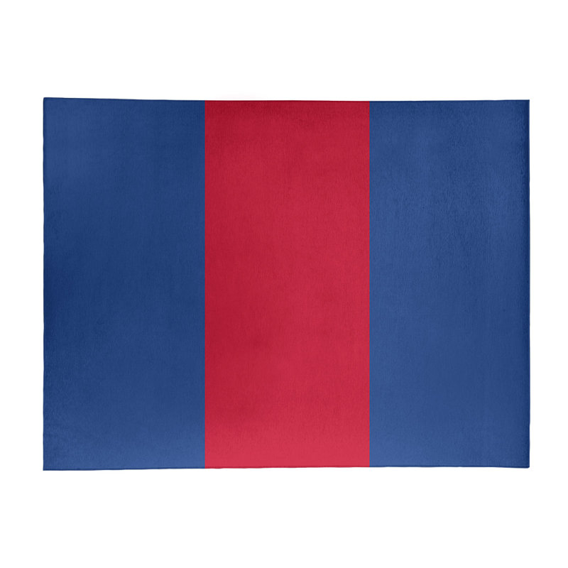 Bleu/rouge tissé à plat tapis décoratif, Rectangle 9 pi x 12 pi