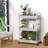 Lidia 66.5cm H x 40.1cm W Utility Cart with Wheels-1699981297