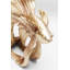 Deco Figurine Betta Fish-46367864-94491272