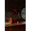 1 - Light Flush Mounted Sconce
