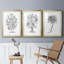 " B&W Plant Specimen I " 3 - Pieces-69982094-69982102