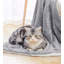 Petite courtepointe pour animal de compagnie-99190945