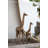 Wheaton Animals Statue-581703832
