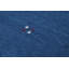 Tapis contemporain en laine bleu / vert Gabbeh Fox - 8 pi 2 po x 9 pi 8 po