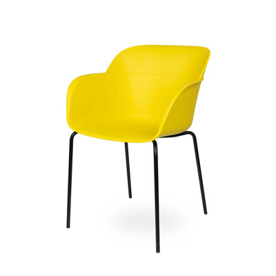 Liara 45 cm H Plastic Armchair