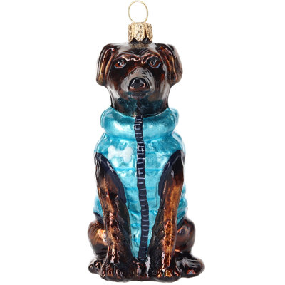 Black Lab in Puffer Coat