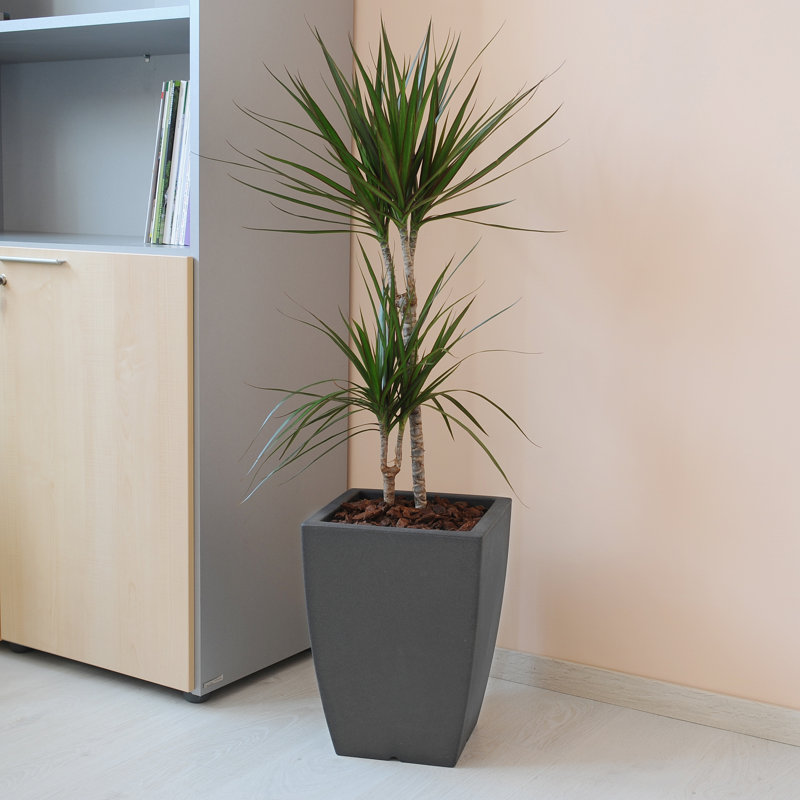 Harryette Pot Planter, Dark Grey