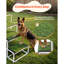 With 4 Steps Collapsible-809346773