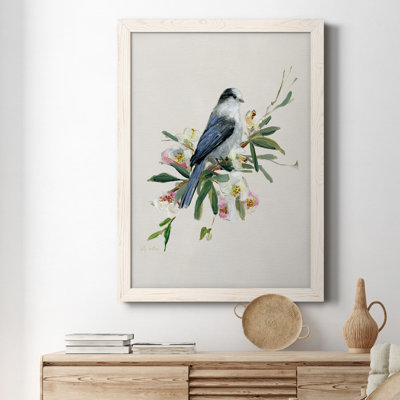" Spring Song Gray Jay "