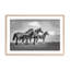 Famille de chevaux sauvages-1879856298-1886441123-1886441135