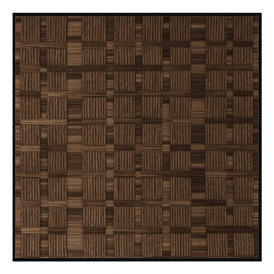 Machine Washable Checkered Brown Area Rug